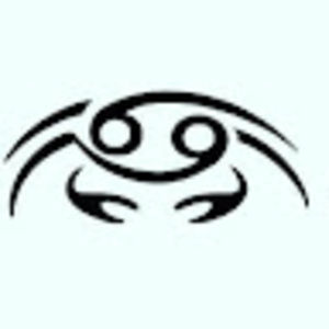 Meet your Posher, Terry